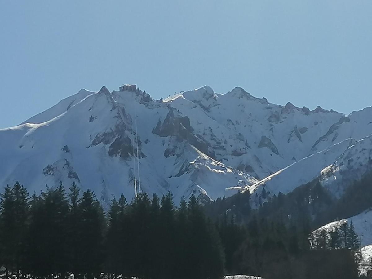 Apartment Coquelicot, Entre Volcans D Auvergne Et Sancy, Orcival.